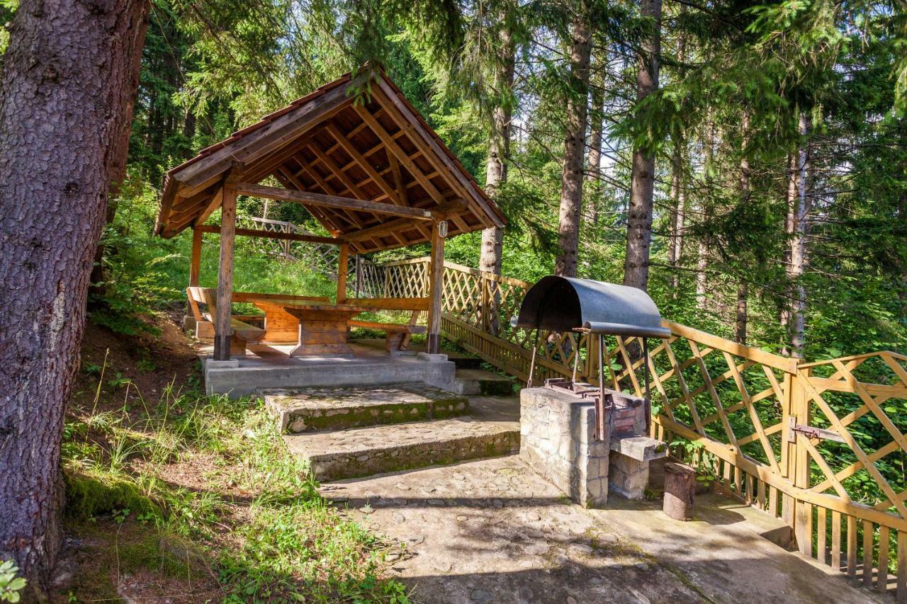 Альпина Hotel Yaremche Exterior foto