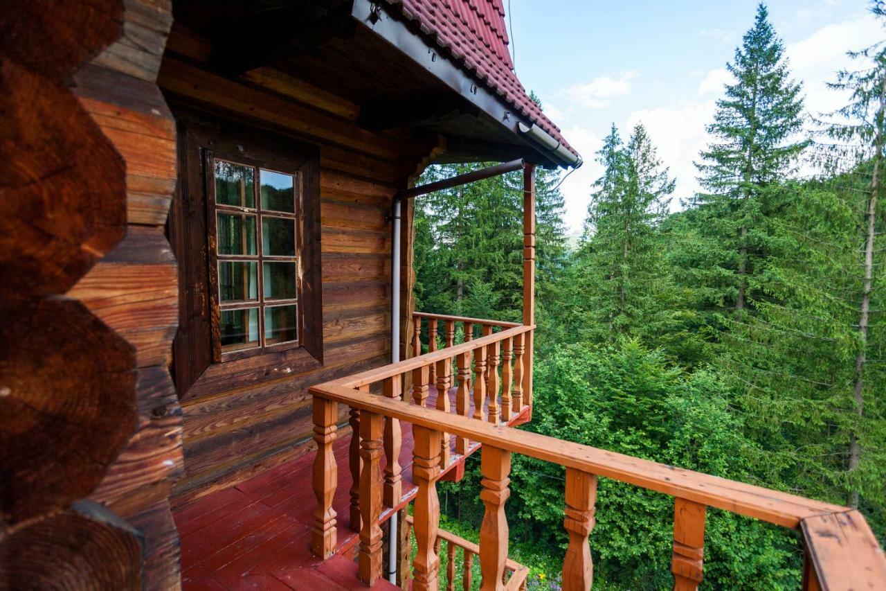 Альпина Hotel Yaremche Exterior foto
